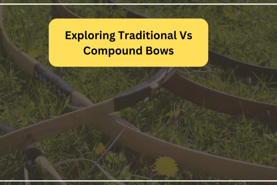 Exploring Traditional Vs Compound Bows